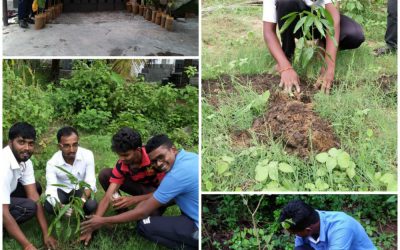 Go-Green Campaign @Majali, Karwar, Uttara Kannada