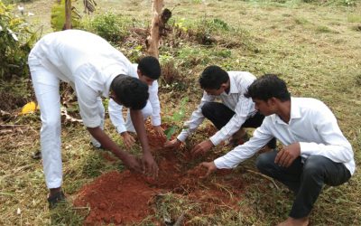 Tree planting @ Dakshina Kannada